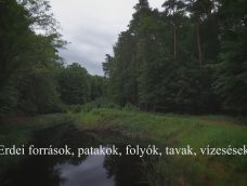 M5 TV – Nemzeti Kincsünk az Erdő – Erdei források, tavak, vízesések – 2026/32. adás – 2026.08.09.