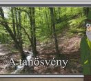 M5 TV – Erdő Ernő bácsi meséi – A tanösvény – 2026/33. adás – 2026.08.16.