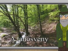 M5 TV – Erdő Ernő bácsi meséi – A tanösvény – 2026/33. adás – 2026.08.16.