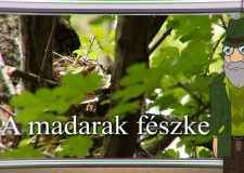 M5 TV – Erdő Ernő bácsi meséi – A madarak fészke – 2026/35. adás – 2026.08.30.