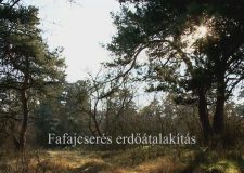 M5 TV – Nemzeti Kincsünk az Erdő – Fafajcserés erdőátalakítás – 2026/42. adás – 2026.10.18.