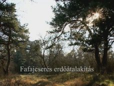 M5 TV – Nemzeti Kincsünk az Erdő – Fafajcserés erdőátalakítás  – 2026/42. adás – 2026.10.18.