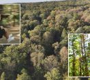 M5 TV – Mecseki erdők – kalandpark és erdőgazdálkodás  – 2026/42. adás – 2026.10.18.
